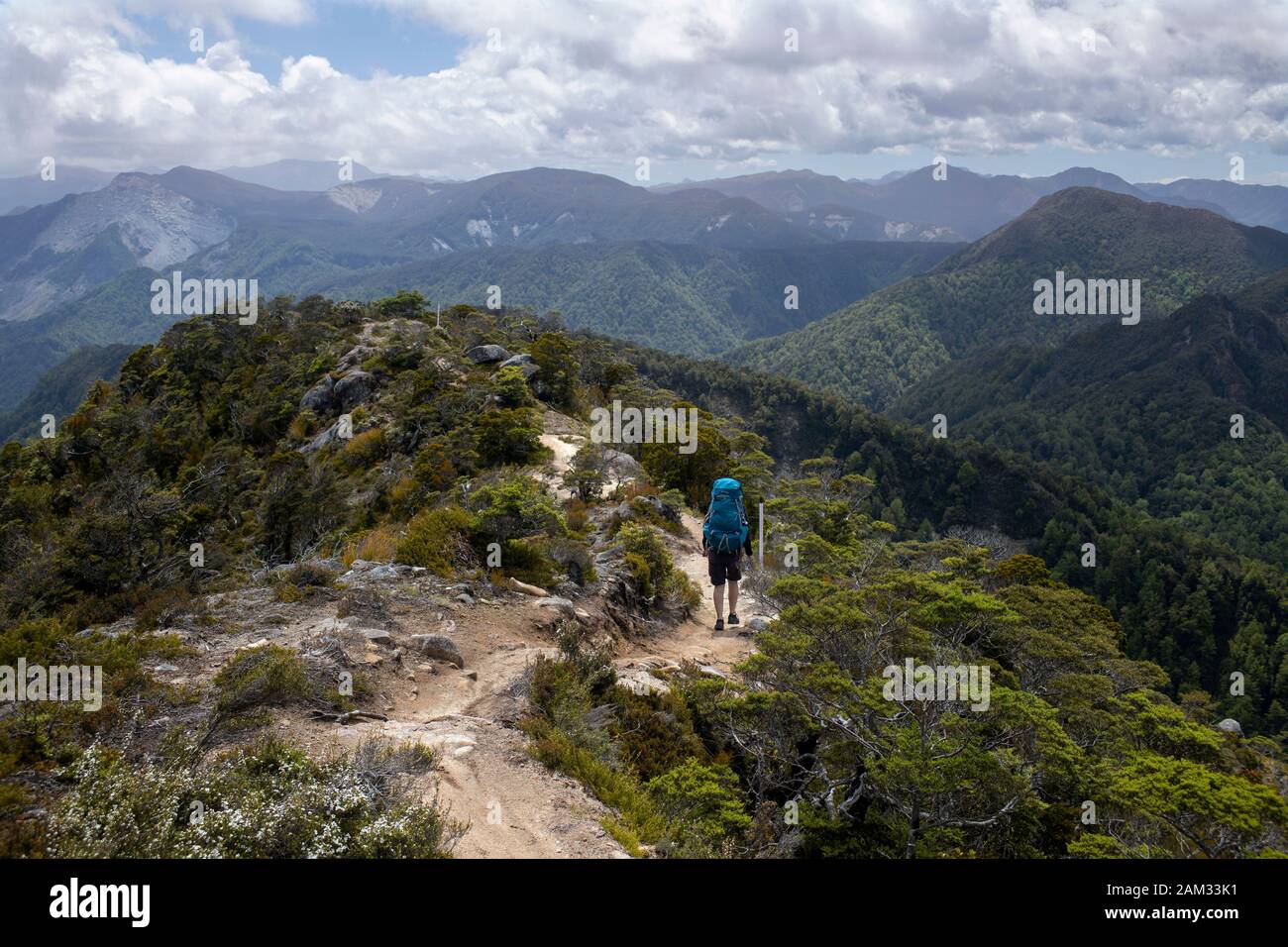 Gehen Sie auf dem Old Ghost Road Trail, Lyell nach Seddonville, Neuseeland. Auf Skyline Ridge Stockfoto