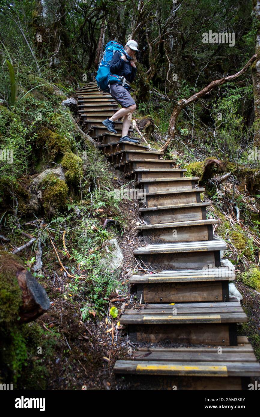 Wandern die Alten Ghost Road Trail, Lyell zu Seddonville, Neuseeland Stockfoto
