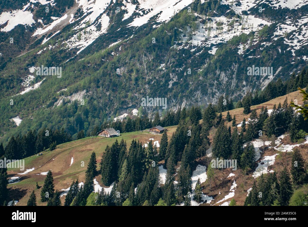 Blumenbergsfläche an einem sonnigen Tag mit kleinen Wolken Stockfoto