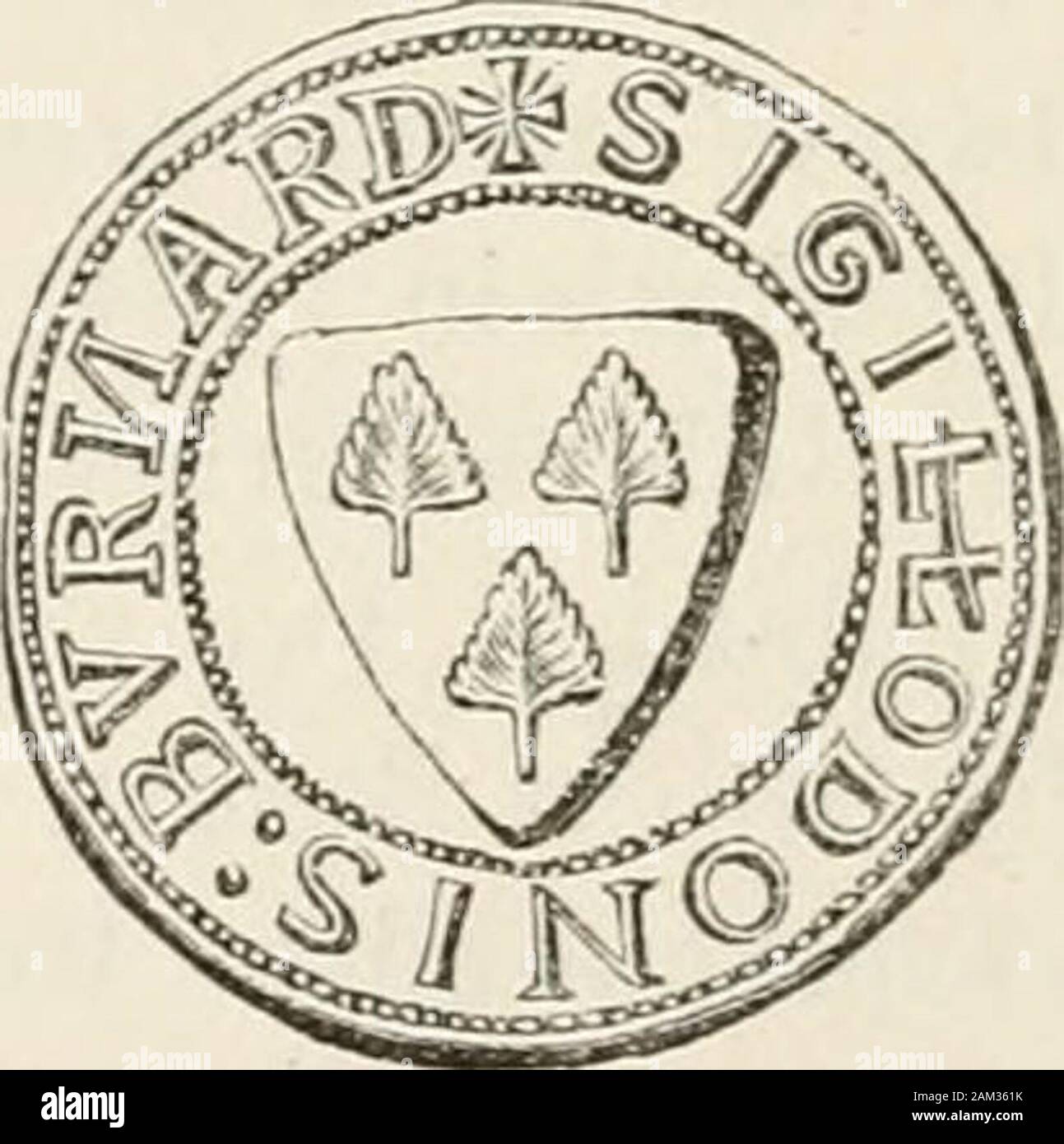 Der Verkünder und Genealogen. Die Burnets sind in ihrer Genealogie originallyBurnards gewesen zu sein, und es ist bemerkenswert, dass wir die Blätter auf zwei sehr earlyseals für Personen mit diesem Namen finden. Wir zitieren aus Charters (withoutdate) zu Arlesey, Co.Bedford, in der sechste Band der kollektaneen Topographica et Genealogica, wo manyparticulars der Nachkommen von burnard, der Auftritt in Domesdaybook als mesne Mieter William de Ow in einigen Grafschaften ofBedford, Hants, und verwelkt, Burnett sagte ist der poterium des Plinius werden gedruckt, finden Burnett, pimpinella. In Stockfoto