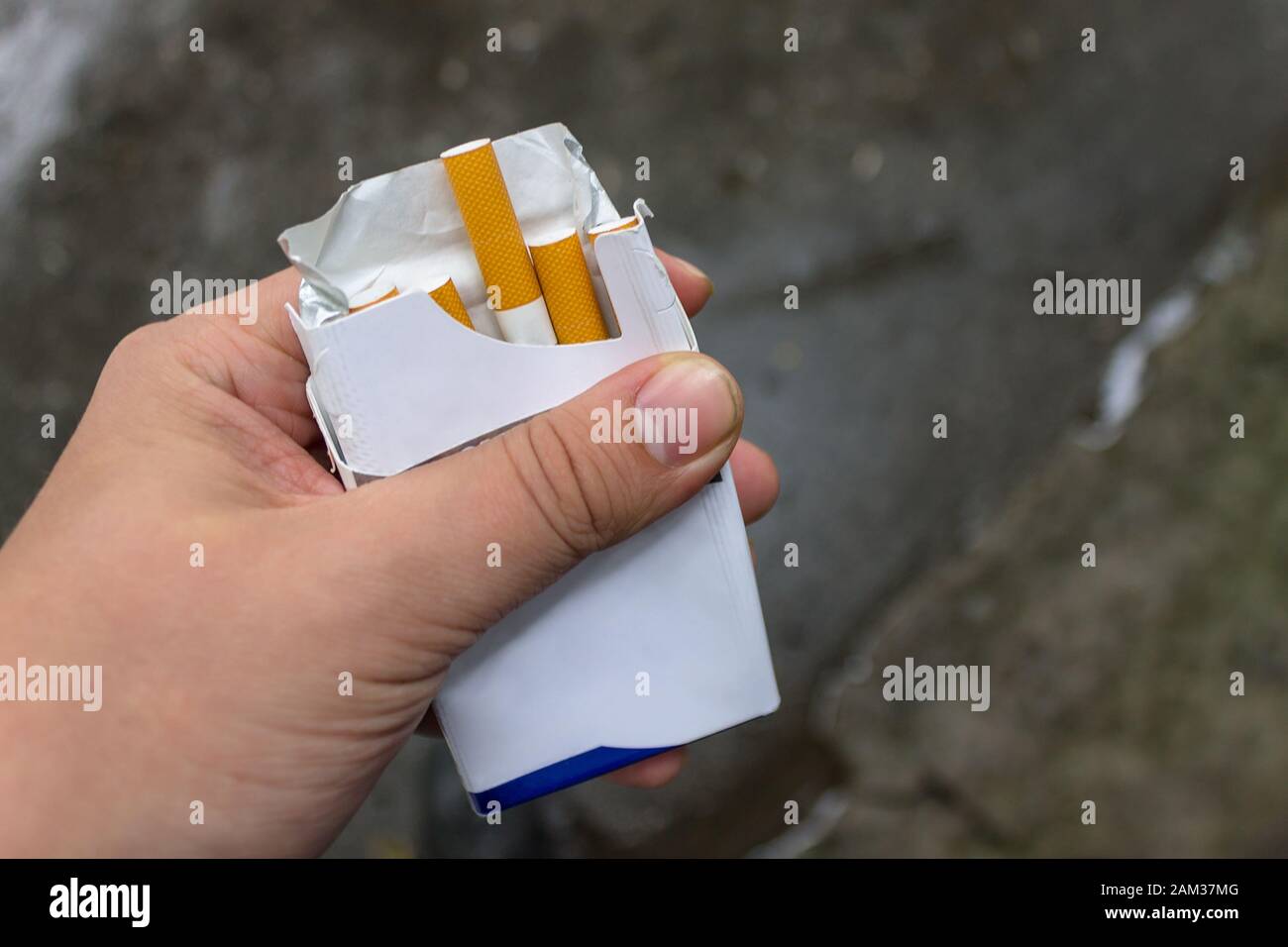 Der Raucher hält ein Päckchen in den Händen und nimmt daraus eine Zigarette heraus Stockfoto