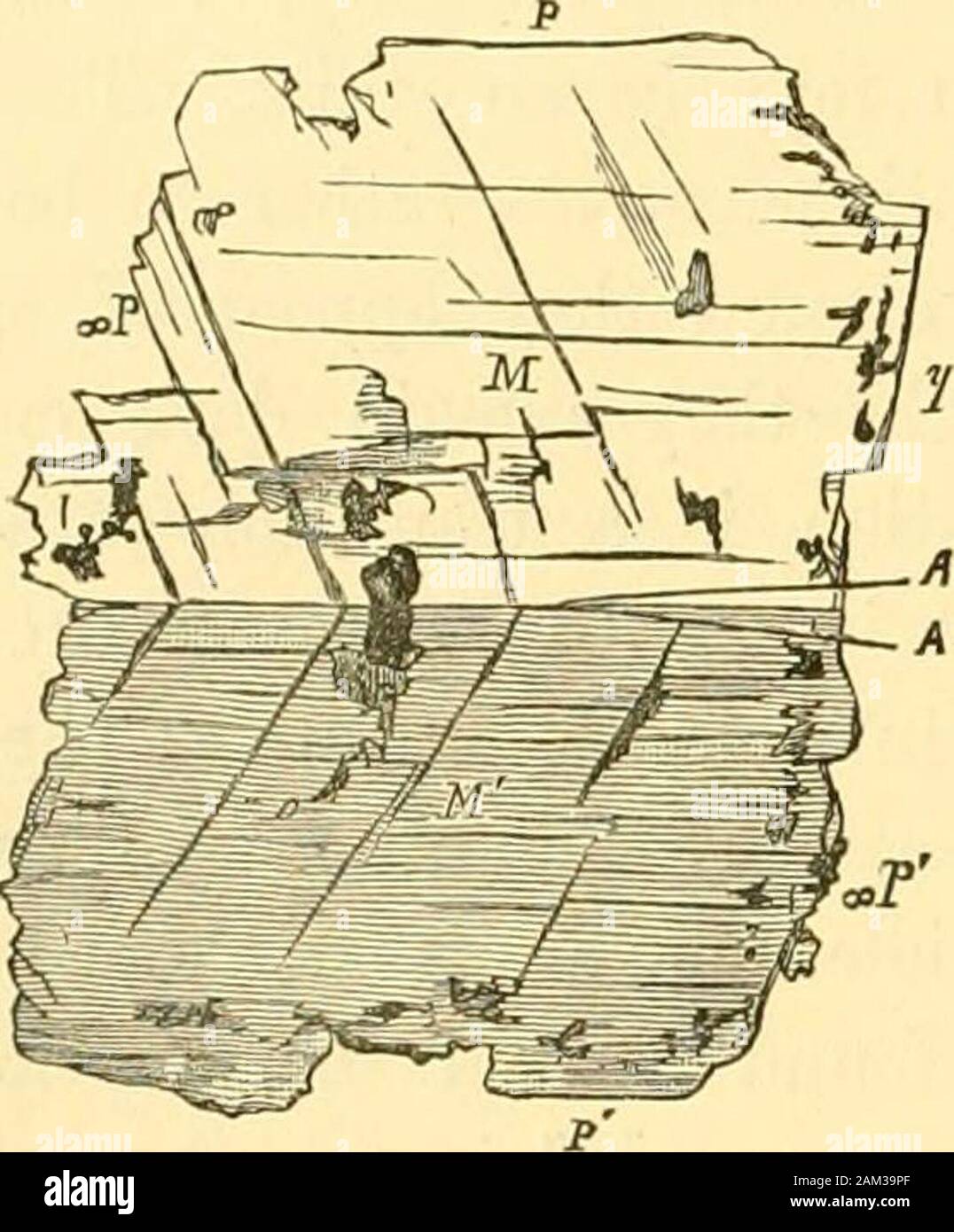 Bericht über die wissenschaftlichen Ergebnisse der Reise von S.M. SChallenger während der Jahre 1873-76: unter dem Kommando von Captain George SNares, R.N., F.R. Sand Kapitän Frank Turle Thomson, R.N. .D, und enthält tabellarische Kristalle ofsanidine Messen von 3 bis 5 mm. Mikroskopische Abschnitte zeigen eine Masse - Masse aus oflamellae von tridymit mit einem schwachen gelbe Farbe. Badende große Abschnitte von Feldspat andaugite kann in ihm unterscheiden; letztere Mineral ist häufig in kleinen sectionsembedded in einem tridymit Masse. Zwei Arten von Feldspat sind zu sehen, einige kleine lamellaehave Aussterben wie die von oligoclas Stockfoto