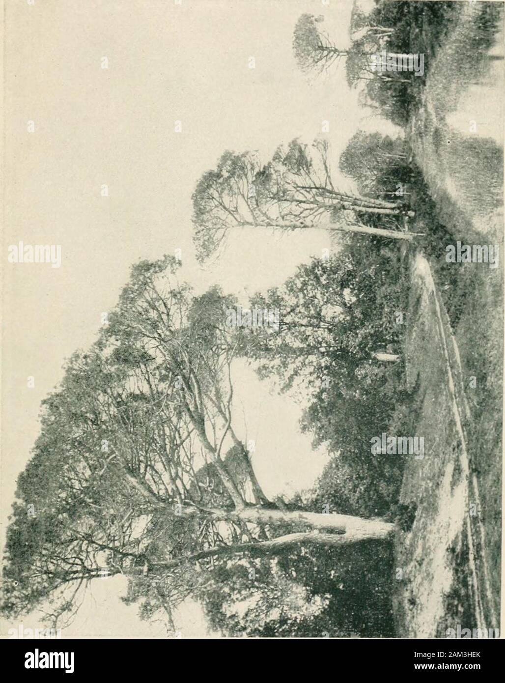 Mit Byron in Italien; eine Auswahl der Gedichte und Briefe von Lord Byron in Bezug auf sein Leben in ItalyEdited von Anna Benneson McMahan. ught von Murray von Moore, November, 1821, für 2000 Guineen. Nach Byrons Tod, das ganze Manuskript wurde destroyedby den Rat von Byrons Freunde. [1 * 0] der Jahre 1817, 1818, 1819, dass ich nicht genau wissen, was es wiederholen kann oder enthalten. Moore und ich einige frohe Tage zusammen, 1 aber so farfrom mich verführerisch nach England/wie man vielleicht vermuten, theaccount gab er mir und meiner war von allem aber anature zu mir zurückkehren wollen: es ist nicht wie opinionsof der Öffentlichkeit. Stockfoto