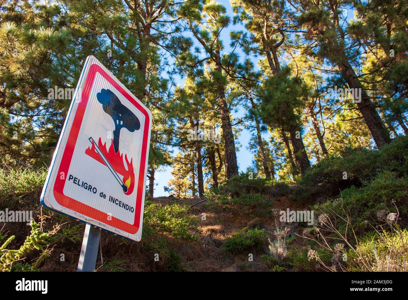 Warnschild in der spanischen Sprache für Buschfeuer auf der Kanarischen Insel Teneriffa. Stockfoto