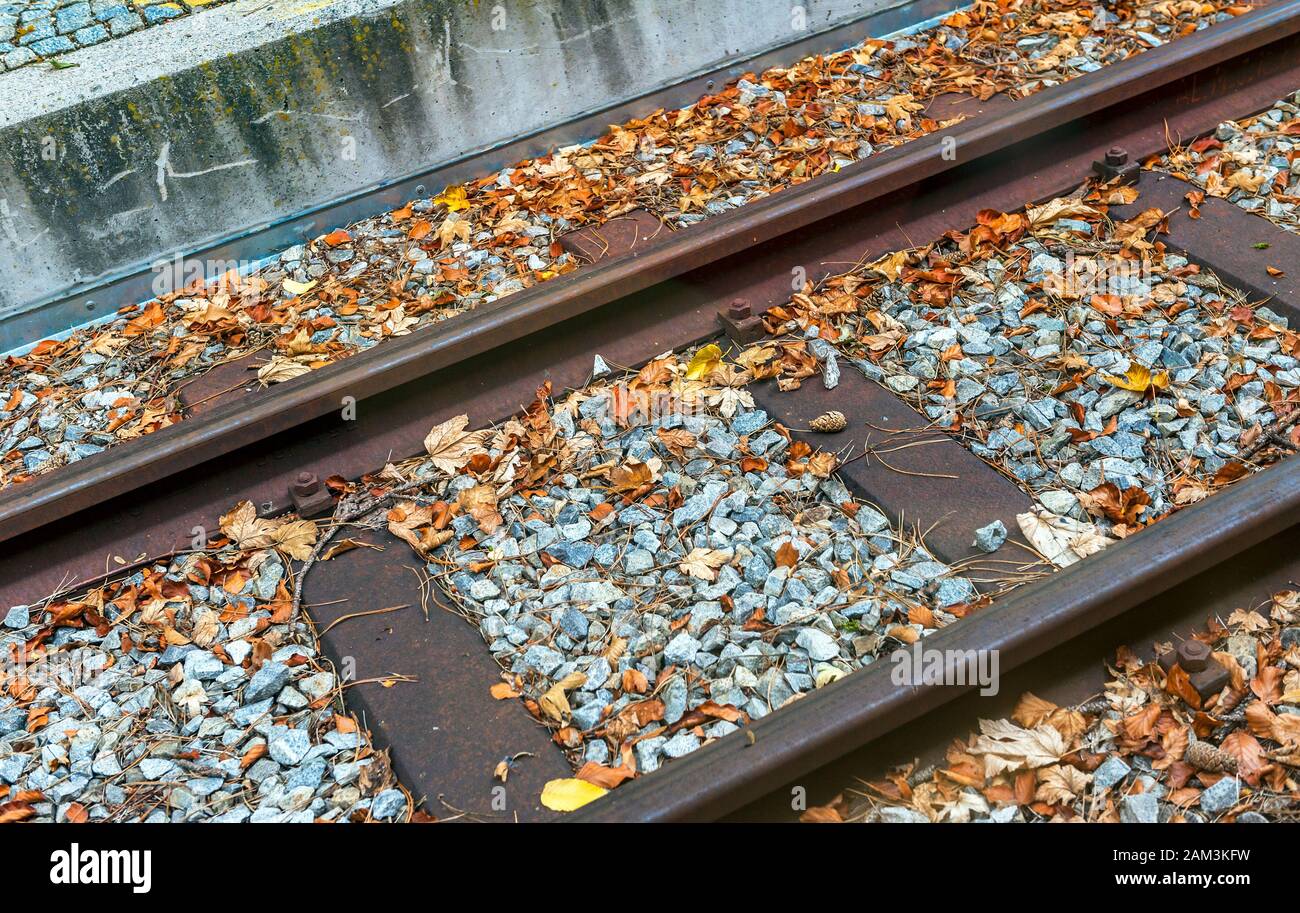 Eisenbahn im Herbst Laub Stockfoto