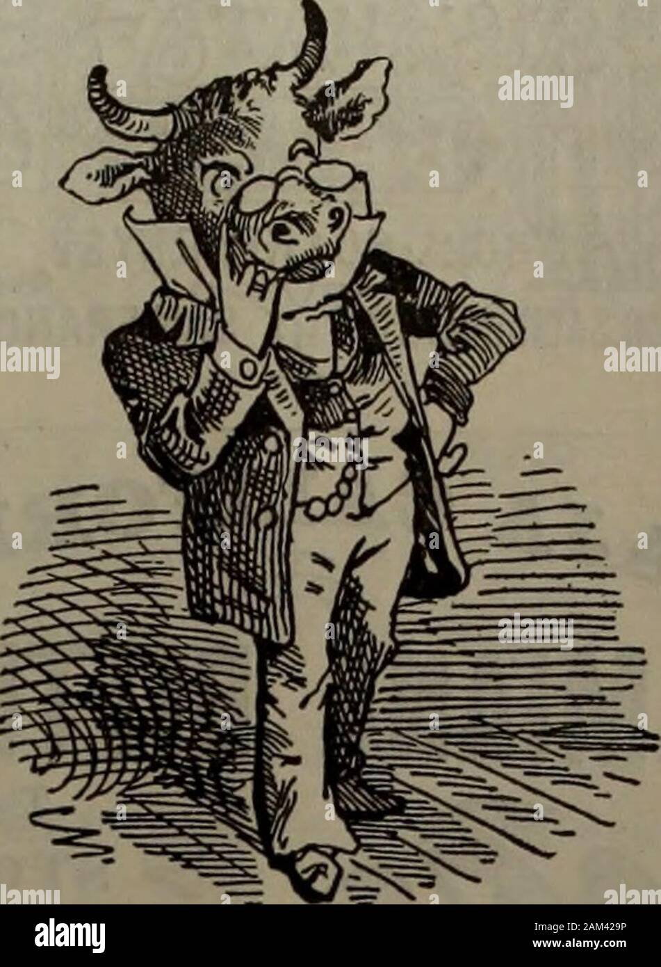 Die WaspA Samstag Journal der Illustration und Kommentar, in der Diskussion um die öffentlichen Angelegenheiten, Finanzen, Gesellschaft und Kunst gewidmet. L.a. BEBTELING 3 PATENT.. $ 3. O0 KAUFT FEINSTEM BRILLEN & ATBERTELING WATRY, wissenschaftliche Augenoptiker, 427 Kearny St., wetten. Kiefer andCalifornia. Land Bestellungen unverzüglich an. Das günstigste Hotel ZU KAUFEN ODER ZU MIETEN KLAVIERE Stockfoto