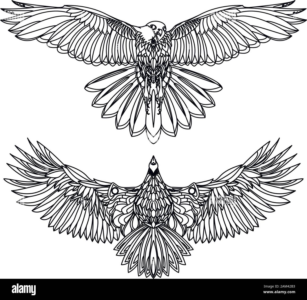 Eagle flying Vector monochrome isoliert Abbildung. Vogel. Stock Vektor