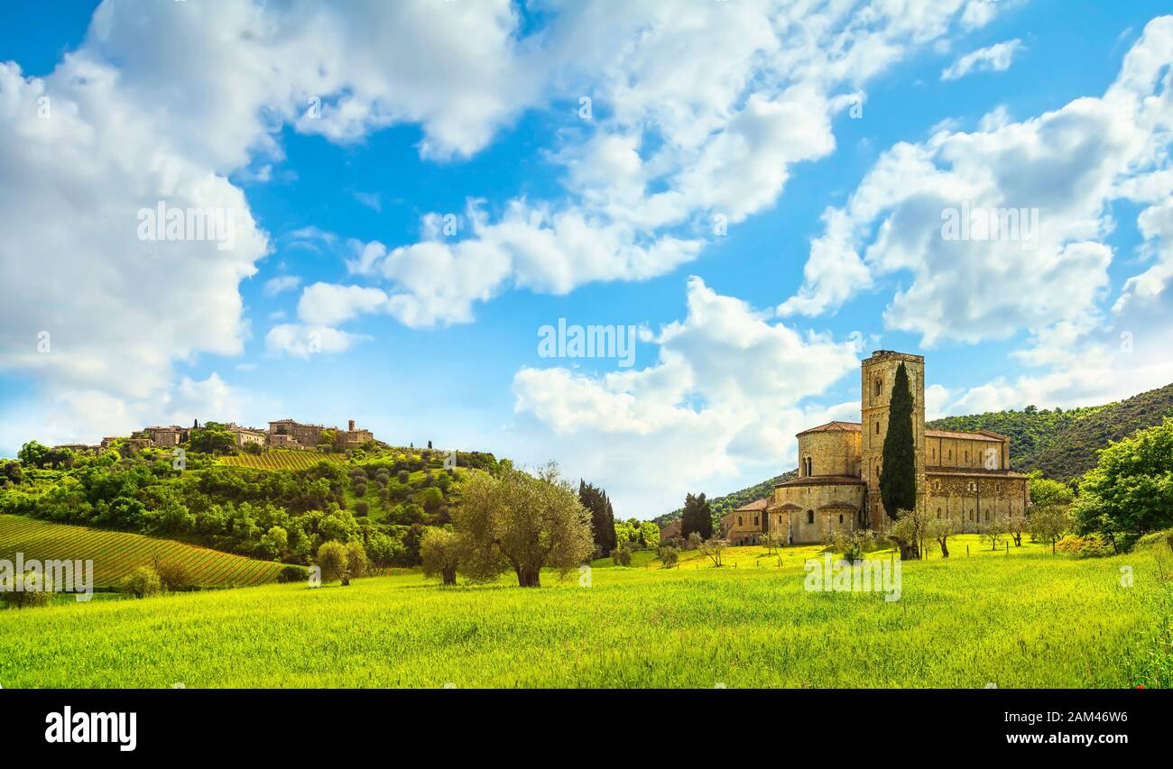 Sant Antimo, Castelnuovo Abate Montalcino Kirche, Bäume und Weizenfeld. Val d'Orcia Toskana, Italien, Europa Stockfoto