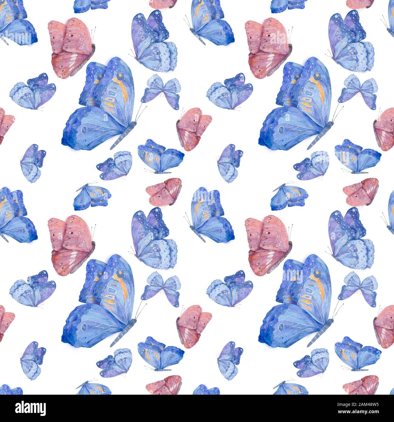 Wunderbares Aquarell farbenfrohe Rosa- und Blauschmetterlinge im weißen Hintergrund. Malabbildung. Fliege Schmetterling. Niedliche Cartoon-Clip-Kunst Stockfoto