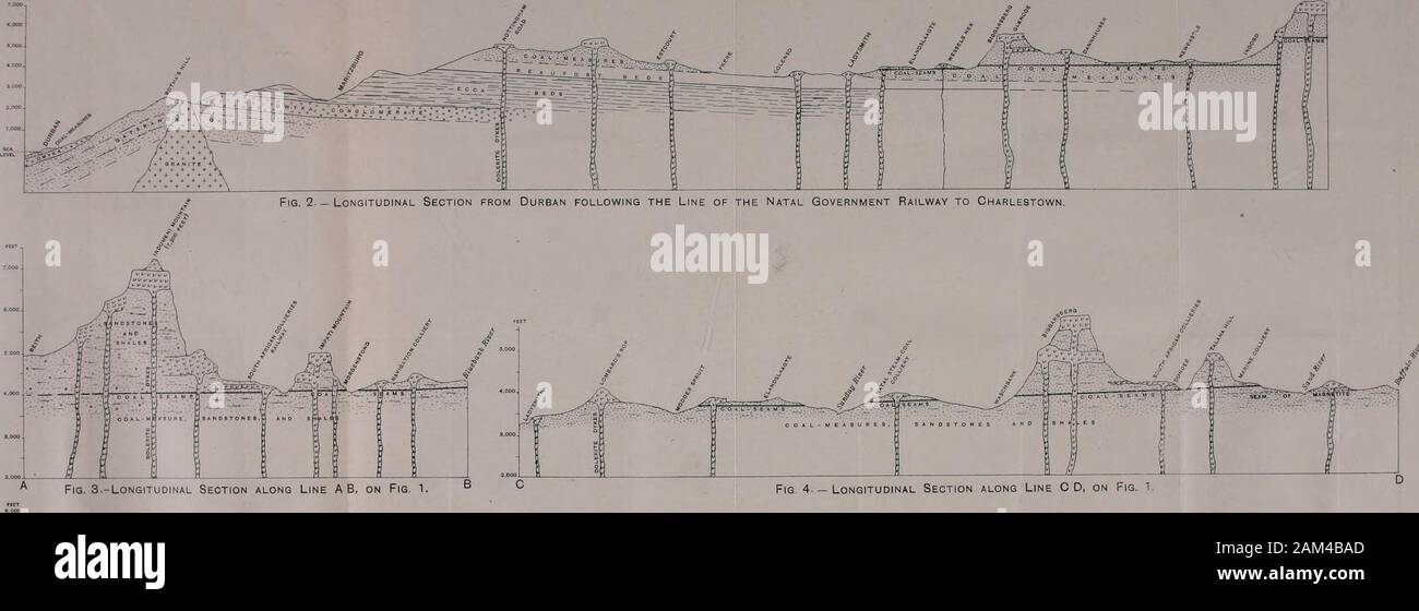 Transaktionen. Vol xvjuj - iAr, xxrr. Bti 9 10 10 12 13 14-15 Vol Mischung reiner 17. Noten von kolonialen und ausländische Papiere, 43 Anlagen. - Stellt fest, DER PAPIERE AUF DEN ARBEITEN VON MINEN, Metallurgie, etc., die von den Transaktionen der kolonialen und FOREIGNSOCIETIES UND KOLONIALEN und ausländischen Publikationen. Die BILDUNG VON KOHLE. Sur Seine Maravi Tourheiix aux Ejjoque. Ich Primaires. Von B. Renault. Bidletindu2 Hi-Ieu7ndHi - itoire JVafureUe, 1900/Veto 44, 48 aiul 202, u-ith Jigtires inder Text. In diesem Papier, die sich mit dem Torfigen Sümpfe des Paläozoikum, theauthor betont zunächst, dass die Gärung der Anlage Stockfoto