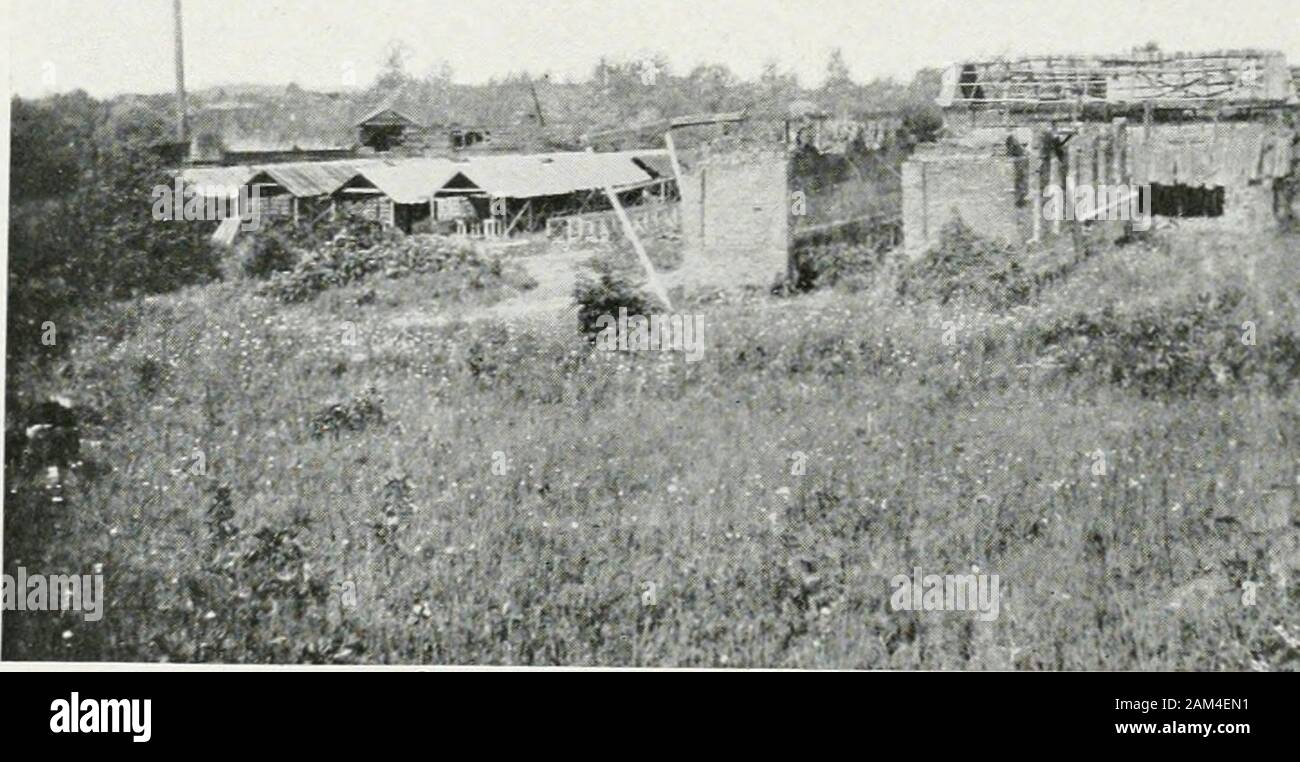 Bulletin. A) Ziegelei von St. Pauls Schule, Lawrenceville.. - **&Gt;" ¥* (B) Ziegelei, Lawrenceville. Feuer Schrumpfung Absorption Prozent Prozent 3,0 15,3 5,6 14,7 2,0 10,3 2,0 10,1 ÜBERSCHWEMMUNGSGEBIET TONE. 13 Kaution die bei Payne und wechselaggregate Yard genutzt wird zur Herstellung von commonbrick. Der Hof ist auf der südöstlichen Seite der Eisenbahn gelegen und mit einem isequipped pugmill, steif-Schlamm, Ende-cut Ziegel-, Trockner- Schuppen, andscove Brennöfen. Die tonvorkommen ist von 4 bis 5 Meter in die Tiefe, und durch Sand zugrunde gelegen. Labortests auf dieses Material (Lab. Nr. 2038) gab den followingresults: Eine braune Ton von hig Stockfoto