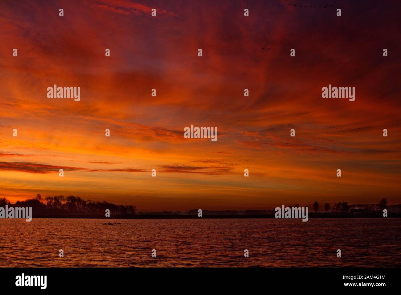 Schöner Sonnenaufgang über Feuchtgebieten im niederländischen Hunze-Tal, einem zur Wasserspeicherung geschaffenen Naturschutzgebiet, schöne rote Zirruswolken über dem Wasser Stockfoto