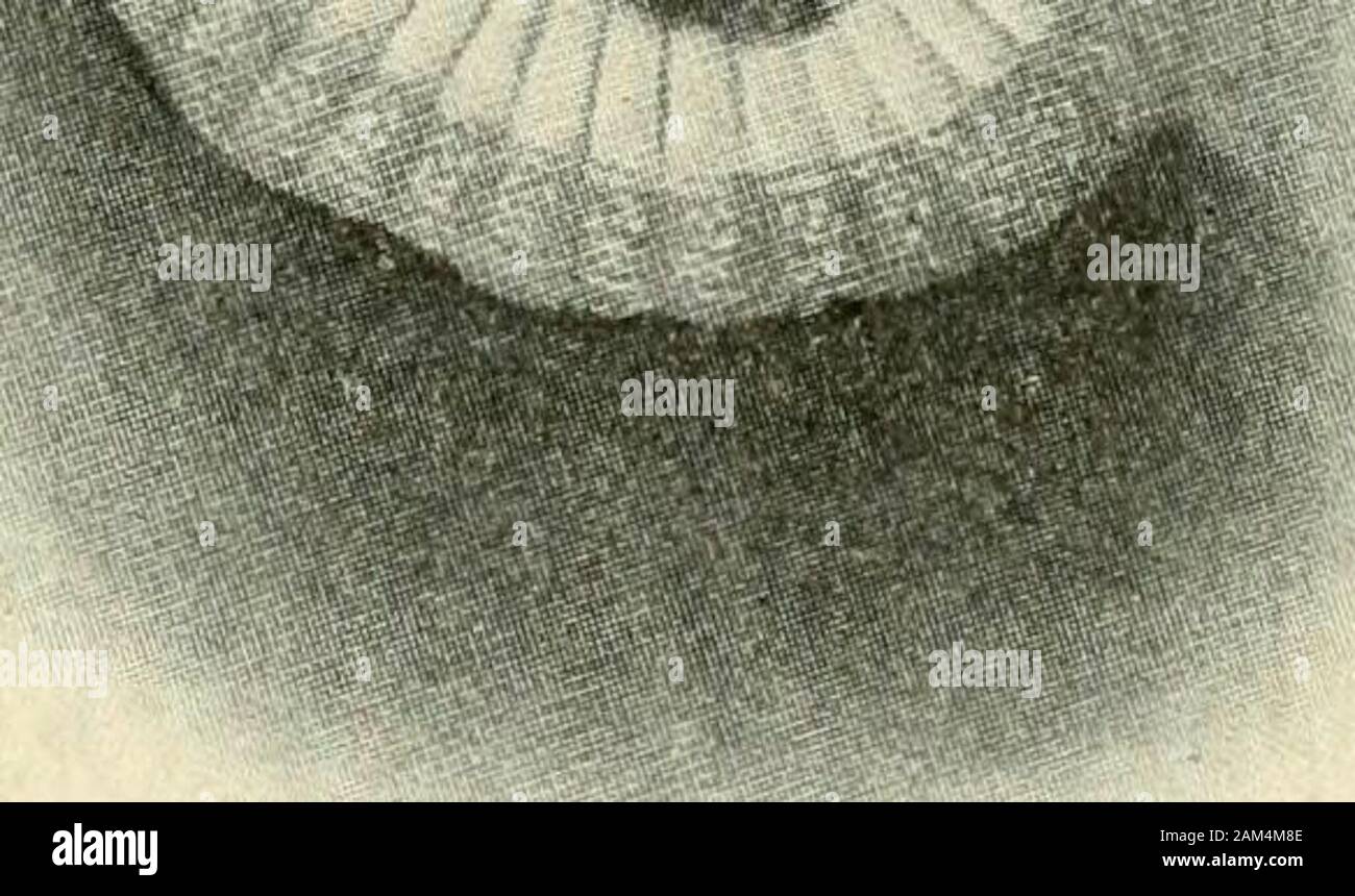 Eine Geschichte der Vereinigten Staaten für katholische Schulen. direkt oder indirekt, an thegovernment zu übernehmen, entweder durch Halten - ing Büro oder durch Abstimmung. Durch die autocraticgovernment von Massachu abgestoßen - Pflastersteine und durch thepromising Pelzhandel und thefertility des Connecticutvalley angezogen, Massachu- pflastersteine Kolonisten migriert andDorchester fromNewtown, Watertown, Connecticut, und gründeten die Städte ofWethersfield (1634), Wind- sor (163,5), und Hartford (1636). Die Siedlung ofHartford war der wich- tigsten der drei townsthus gegründet. Geführt durch theirminister, Thomas Hooker, einige 1.hund Stockfoto