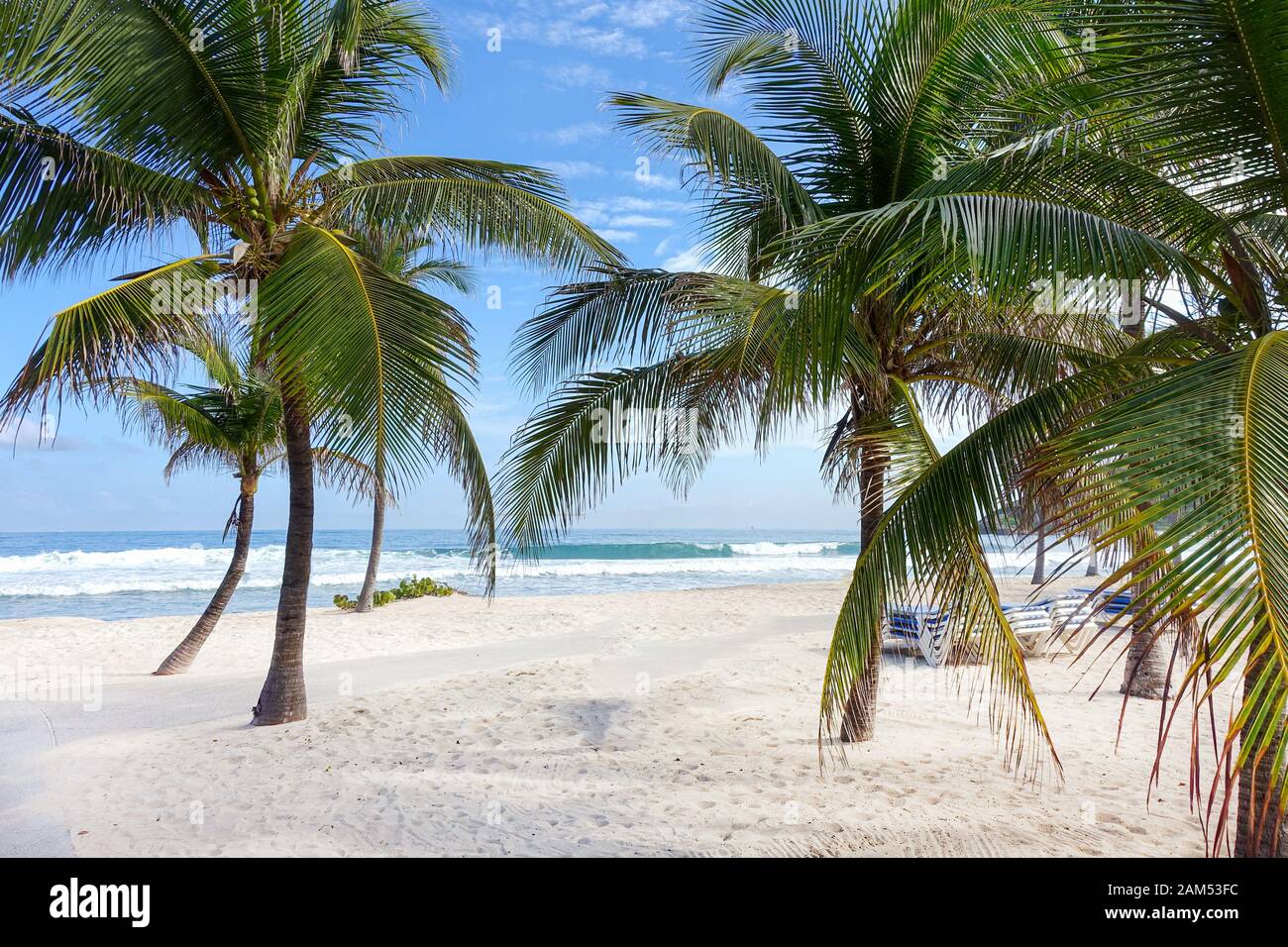 Ein wunderschöner weißer karibischer Strand, bedeckt mit Palmen und Wellen vom türkisfarbenen karibischen Meer, die ins Ufer stürzen Stockfoto