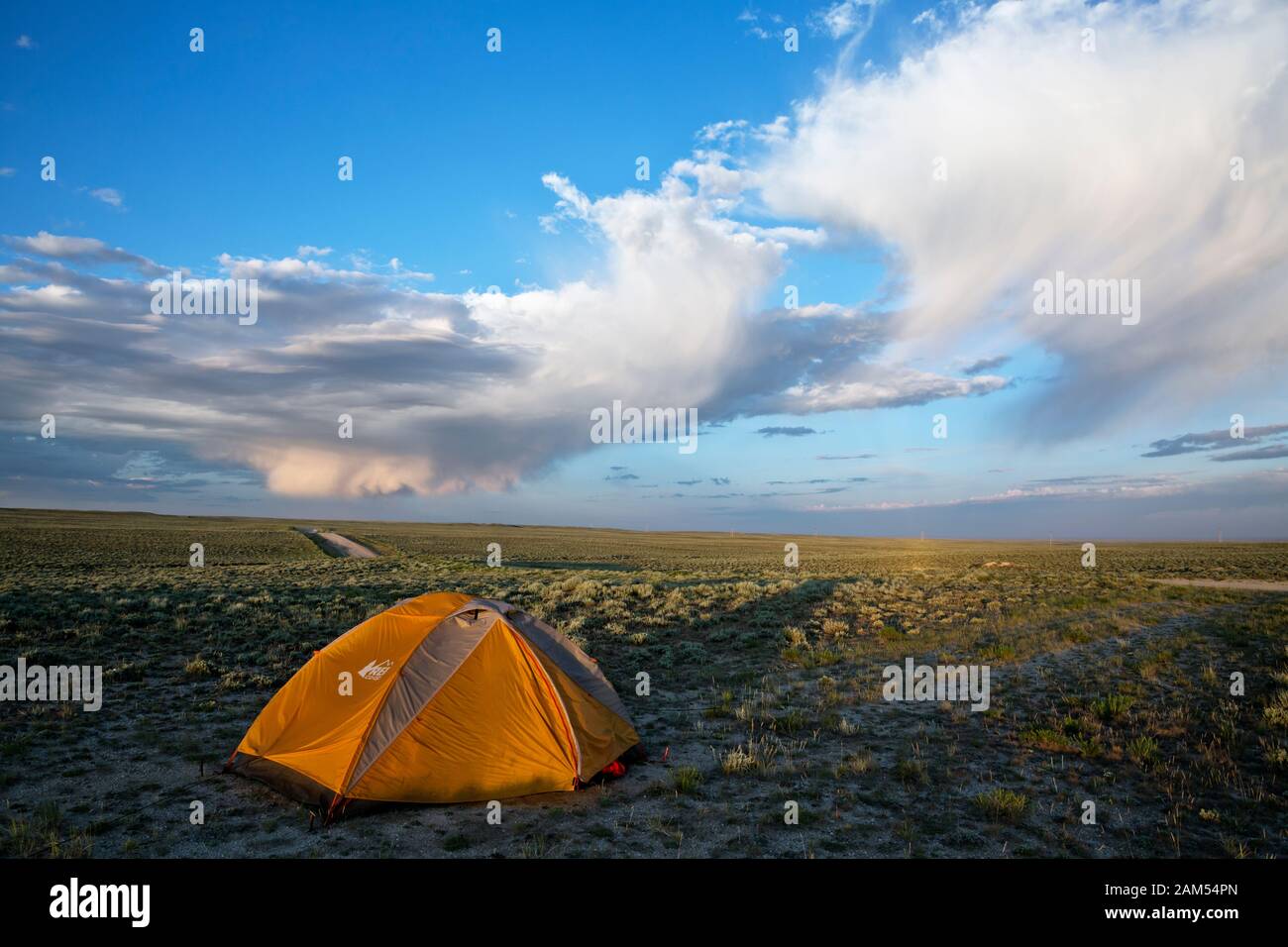 WY 03929-00 ... WYOMING - Campingplatz auf einer verlassenen Straße in das große Becken teilen, überquerte auf dem großen Mountainbike Route teilen. Stockfoto