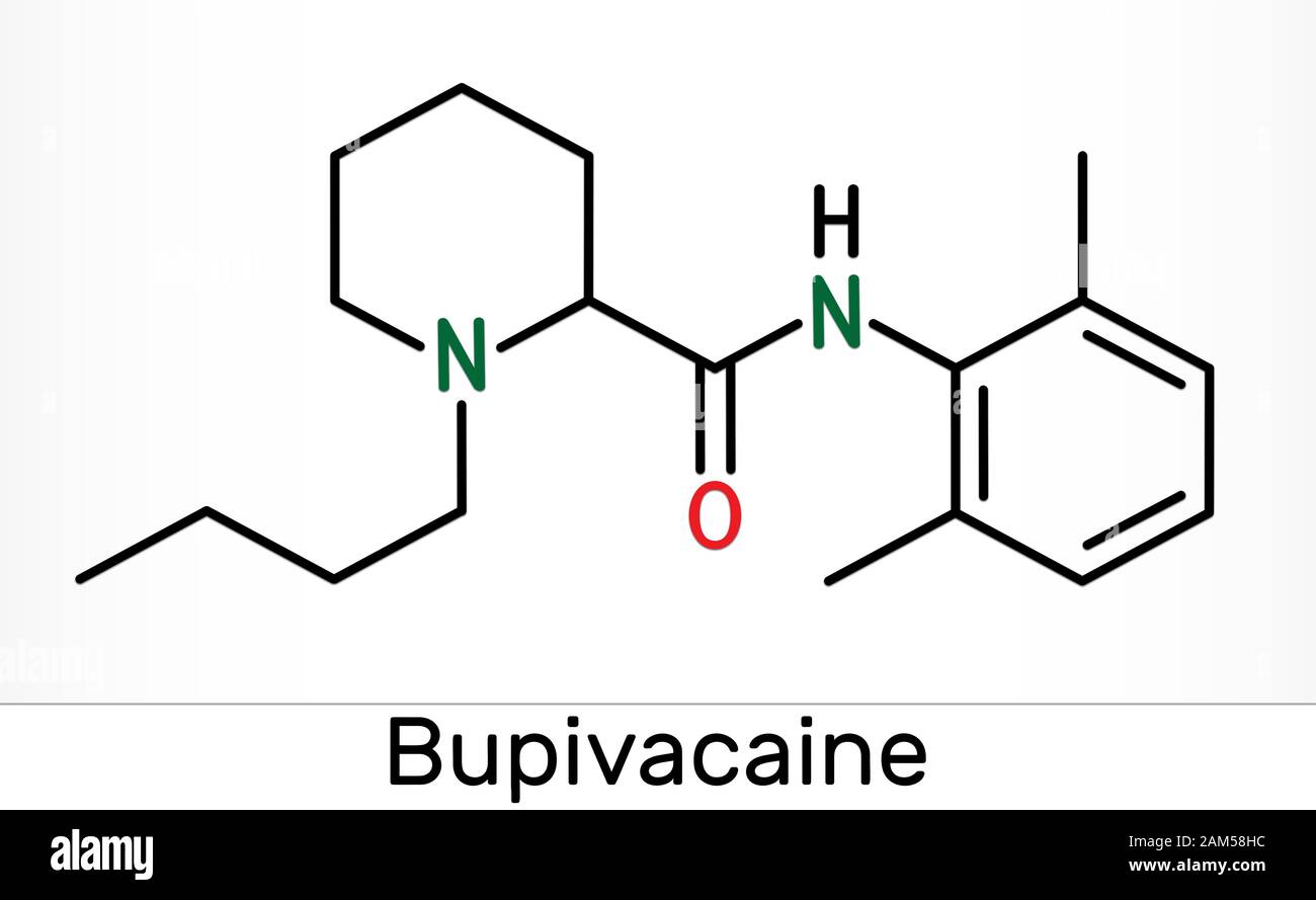 Bupivacain-Molekül, ist ein Amid-Typ, lang wirkendes Lokalanästhetikum. Skelettchemische Formel. Abbildung Stockfoto