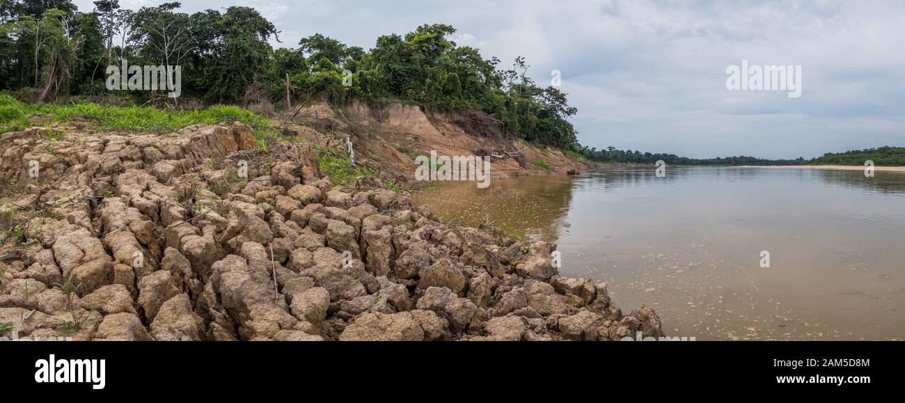 Bank des Flusses Javari, den Nebenfluss des Amazonas, die während der Saison. Amazonia. Selva an der Grenze von Brasilien und Peru. South Amer Stockfoto