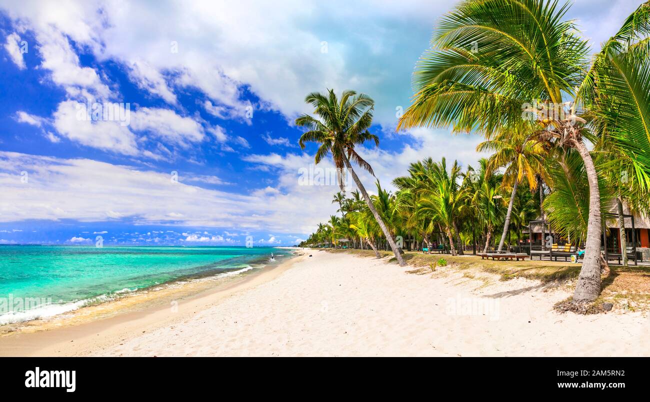 Tropisches Paradies in Mauritius. Stockfoto