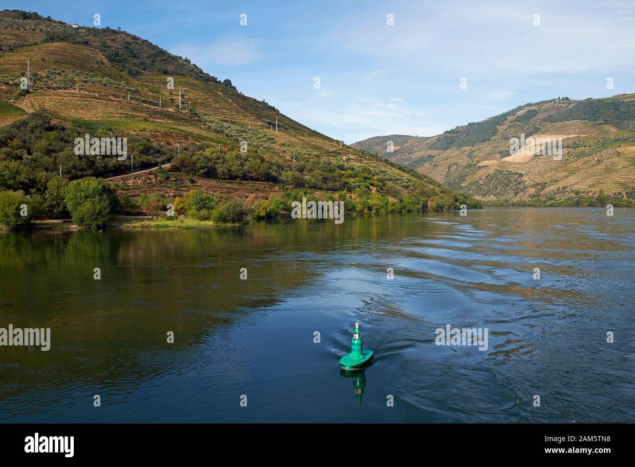 Eine grüne, flaschenförmige Boje am Fluss Douro, Portugal. Stockfoto