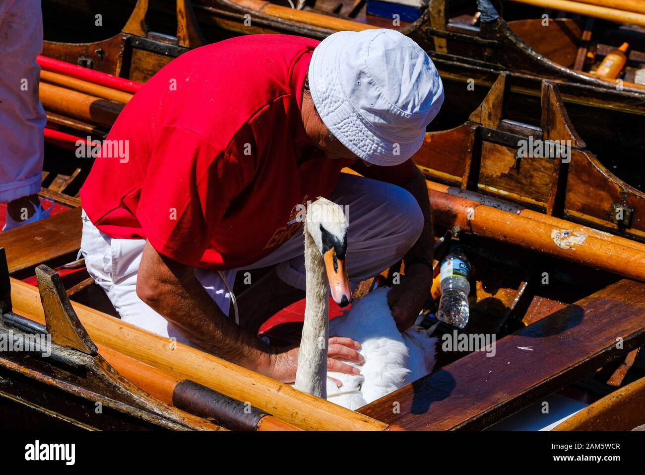 Mitglieder der Royal Swan Upping team Kreis und Capture Schwäne während der jährlichen Swan Upping am Dienstag, 16. Juli 2019 im Windsor, Themse. Swan Upping ist eine jährliche Veranstaltung in England, in denen Höckerschwäne auf der Themse aufgerundet, gefangen, Beringt, und anschließend freigegeben. Der Besitz von Schwänen in der Themse wird zu gleichen Teilen unter der Krone, der Winzer und der Färber" Unternehmen geteilt. Bild von Julie Edwards. Stockfoto