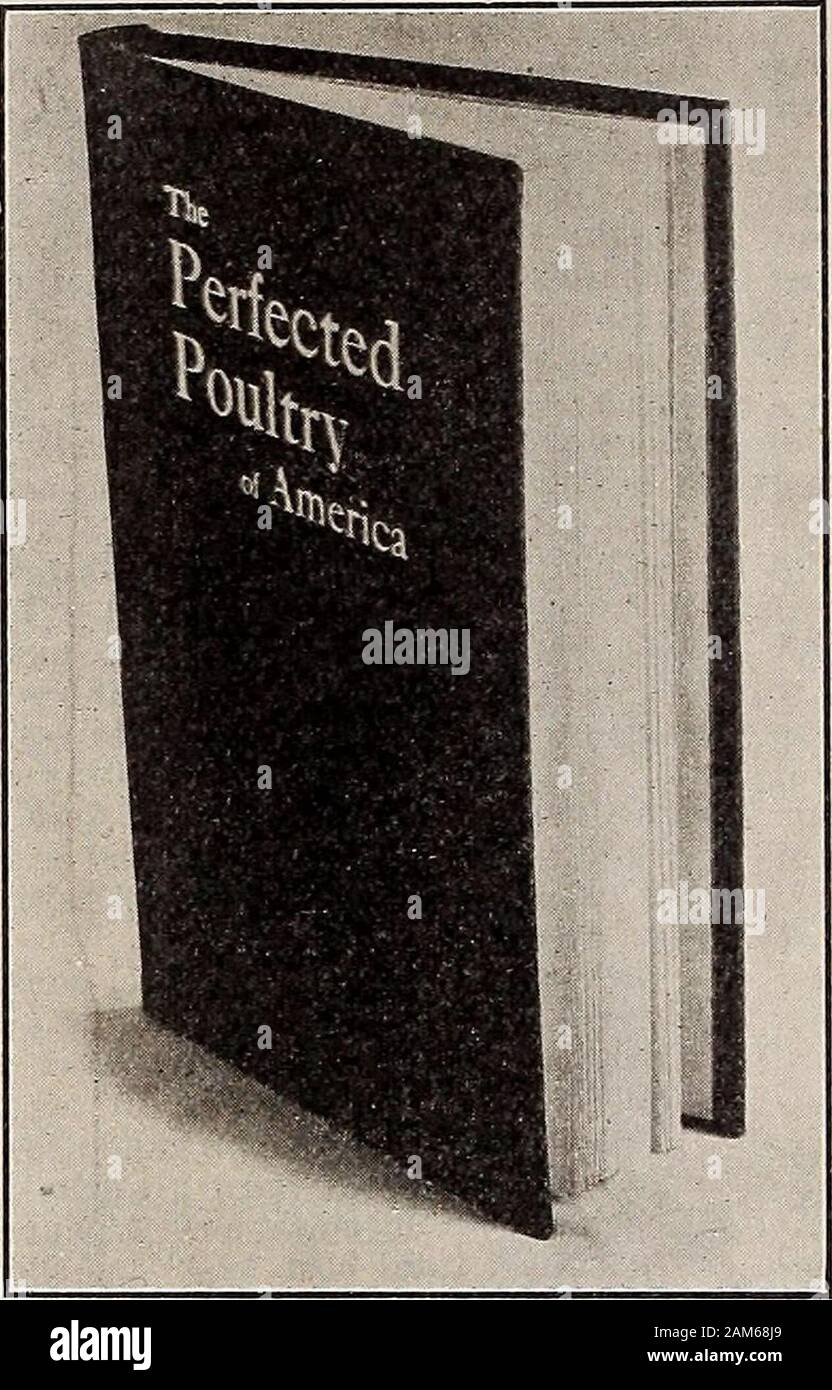 Geflügel Maniac. Ein surepreventative und Heilung für Weißen Durchfall inlittle Küken. Wir bedenkenlos recommendOculum an alle Taubenzüchter Leser sowie Bur persönlicher Freund, und fühlen sich bestimmte theywill halten sie als große Wertschätzung Wie wir nach theyhave zu einem fairen und unparteiischen Gericht. Wir empfehlen Wer Küken wirft - Ens, und wer würde ein Heilmittel ofreal Verdienst die Hancock InoculatumCo zu schreiben., Inc., Abt. T, Salem, Va. Für ihre freecircular und Preis liste auf einmal. Sie al-Möglichkeiten gerne tat. rj/&gt; fSn r!s&gt; fin fin fin rinrin Rin Tin Tin fin fin fin fin rl^ Ctr&gt Stockfoto