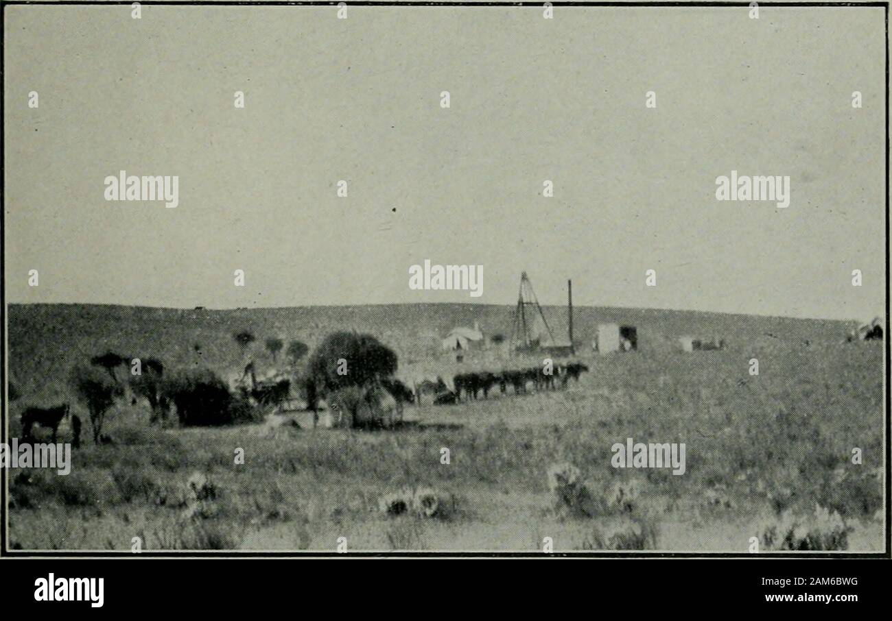 Bergbau überprüfen. AJAX-Mine, in der Nähe von WAUKARINGA,. Regierung langweilig, in der Nähe von AJAX-Mine., S. 18.] 19 Nr. 2 Bohrung liegt 10 Ketten S.W. von Nr. 1, und 210 ft. zurück von der Lineof Lode. Winkel der Bohrung, 30 ft. In 100 ft. Das Land durchzogen, wie folgt: - Oberfläche Oberfläche Lehm und Geröll. 4 ft. zu Grau Sandsteinfelsen. 18 ft. Für Schiefer Land mit Bands aus Sandstein. 85 ft., blau Schiefer Land mit gelegentlichen Calcit Nähte. 183 ft. Bei 183 ft. Durch 2. von Quarz und ein wenig Kalkstein. 308 ft. Blau Schiefer Land mit Quarz Nähte und Bügeleisen Schwefelkies. Total langweilig für die Hälfte - Ihr Stockfoto