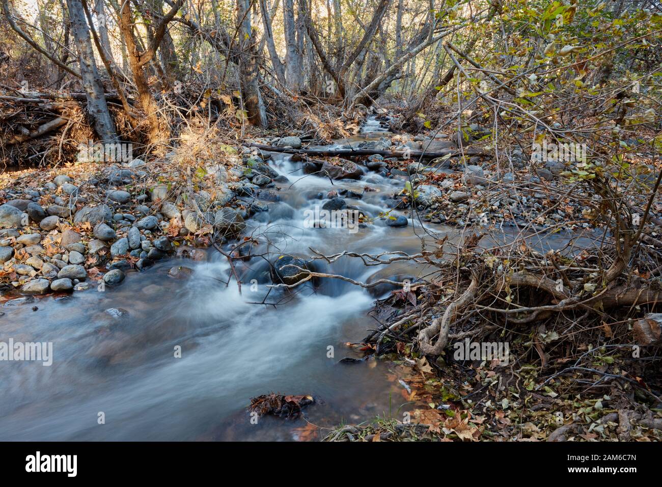 West Clear Creek, Camp Verde, Arizona Stockfoto