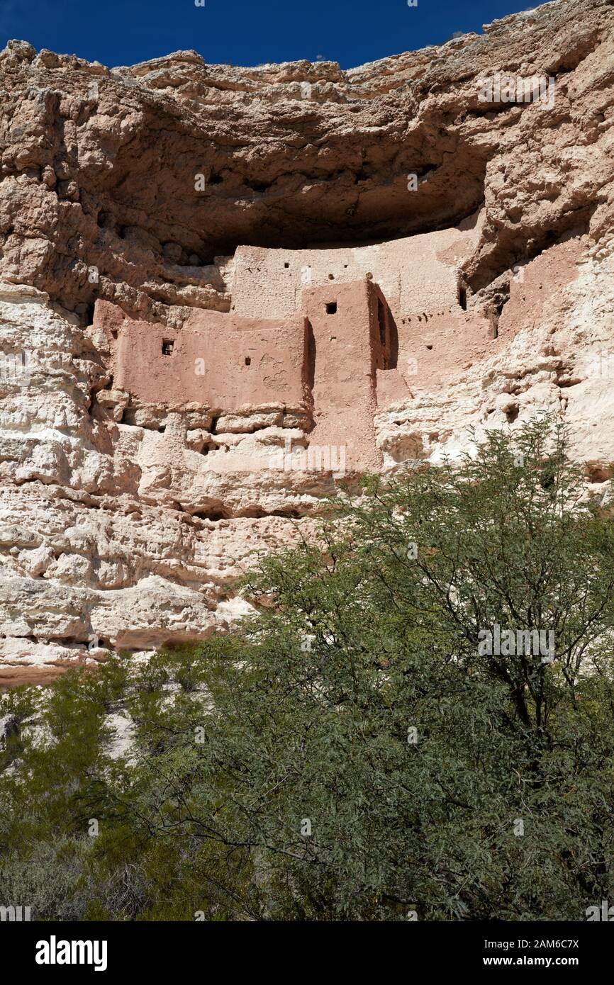 Montezuma Castle Nationalmonument, Camp Verde, Arizona Stockfoto