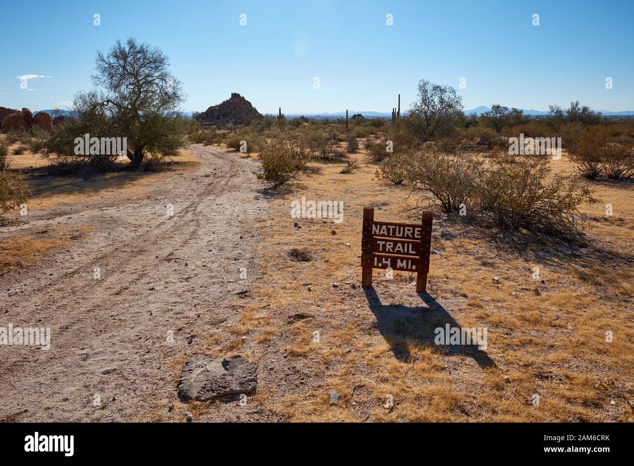 Naturlehrpfad im North Mountain Park, Casa Grande, Arizona Stockfoto