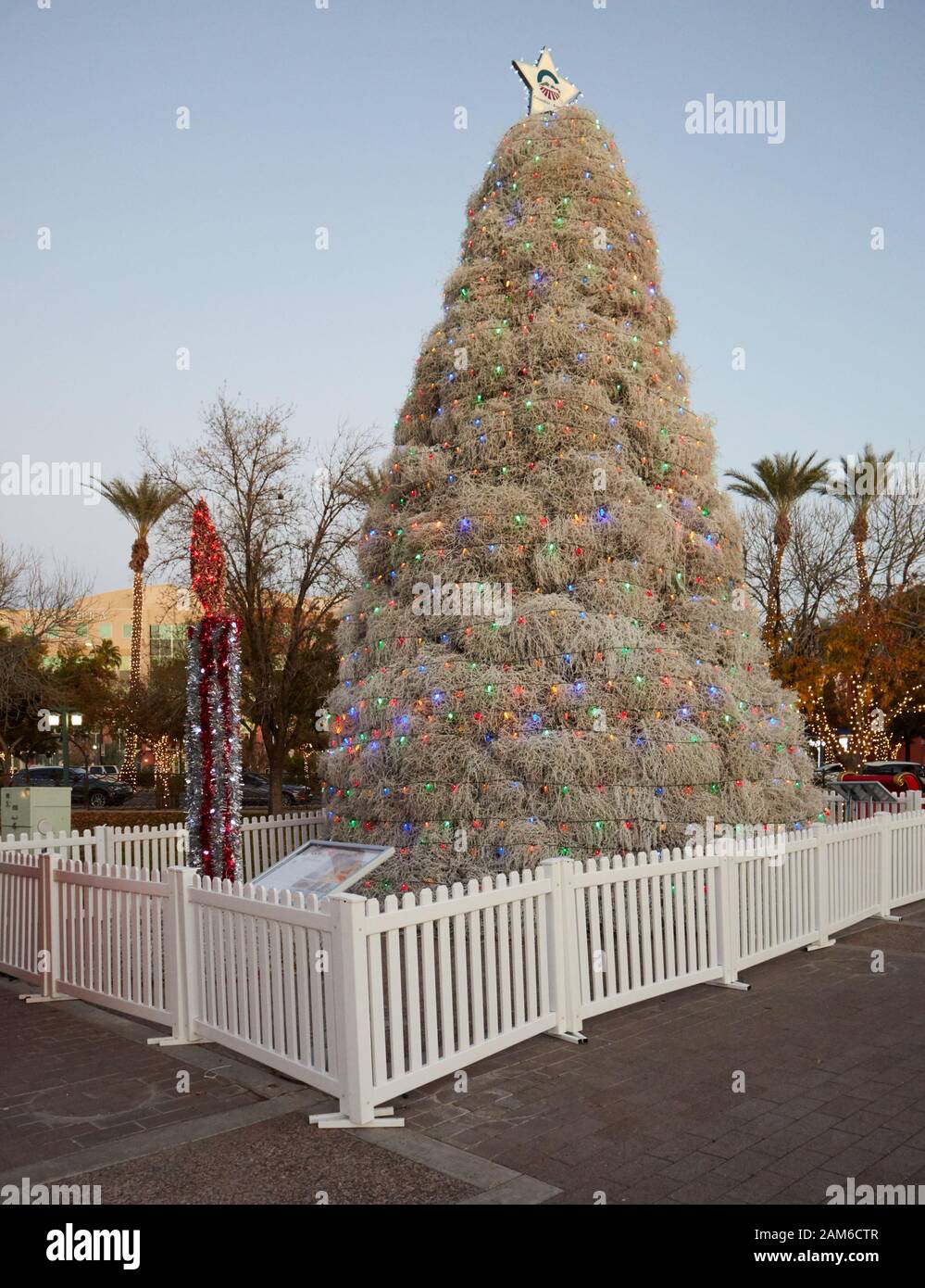 Tumbleweed Weihnachtsbaum in Chandler, Arizona Stockfoto