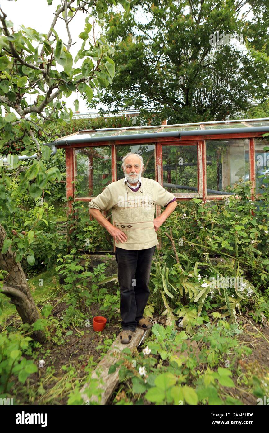 Peter Emerson's Garten, in dem seine eigenen roten Kernen, eine große Weinrebe vor dem Haus, Olivenbäume, Figs-Bäume, Goosebeeren, Pflaumenbäume, apfelbäume, Birnbaum und schwarzer Kerbbaum um und in seinem Rhubarb Cottage in North Belfast Mittwoch, 3. Juli 2019 angebaut wurde. (Foto von Paul McErlane) Stockfoto