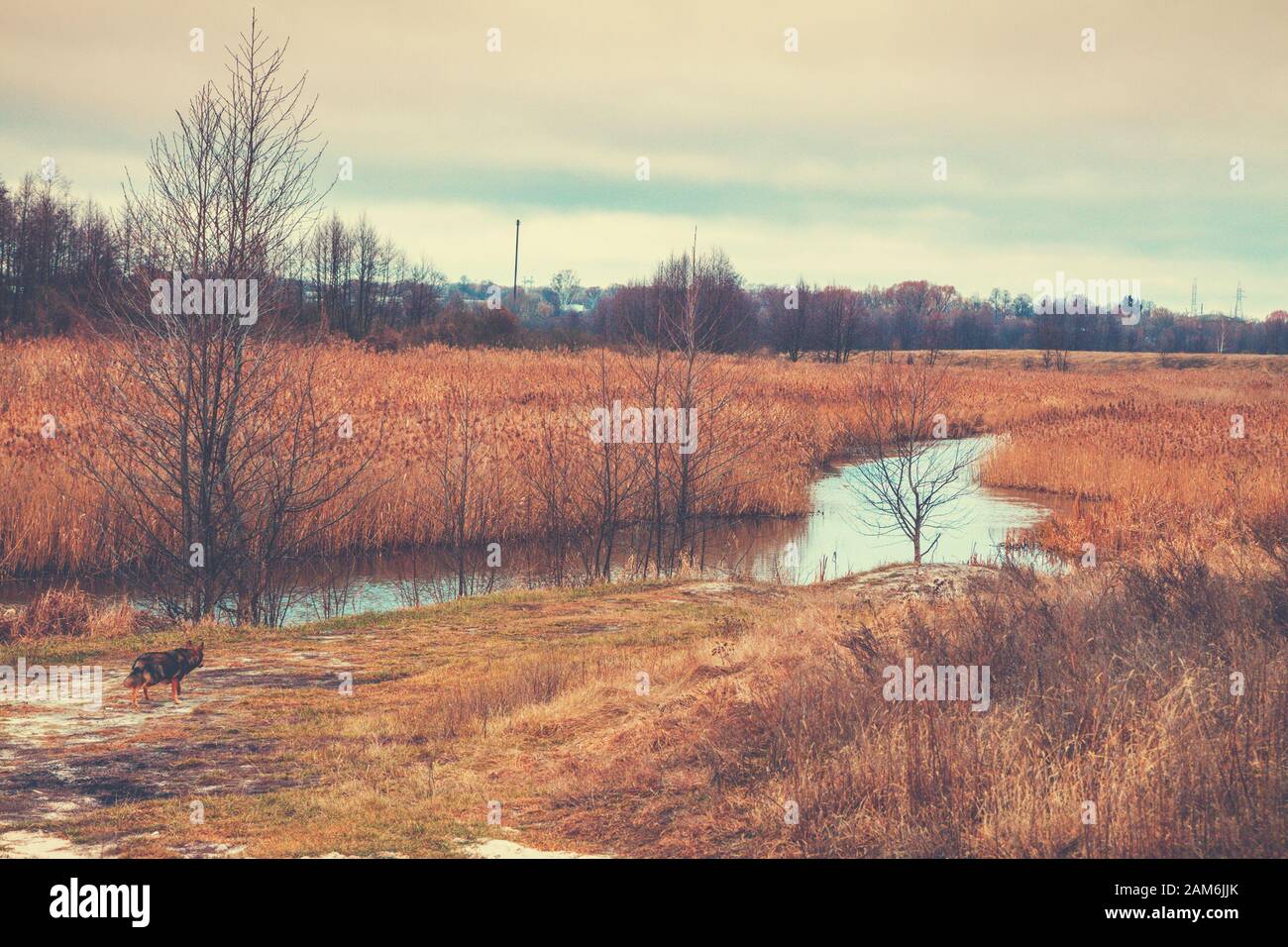 Fluss in die Wiese im Frühjahr. Landwirtschaftliche Landschaft Stockfoto