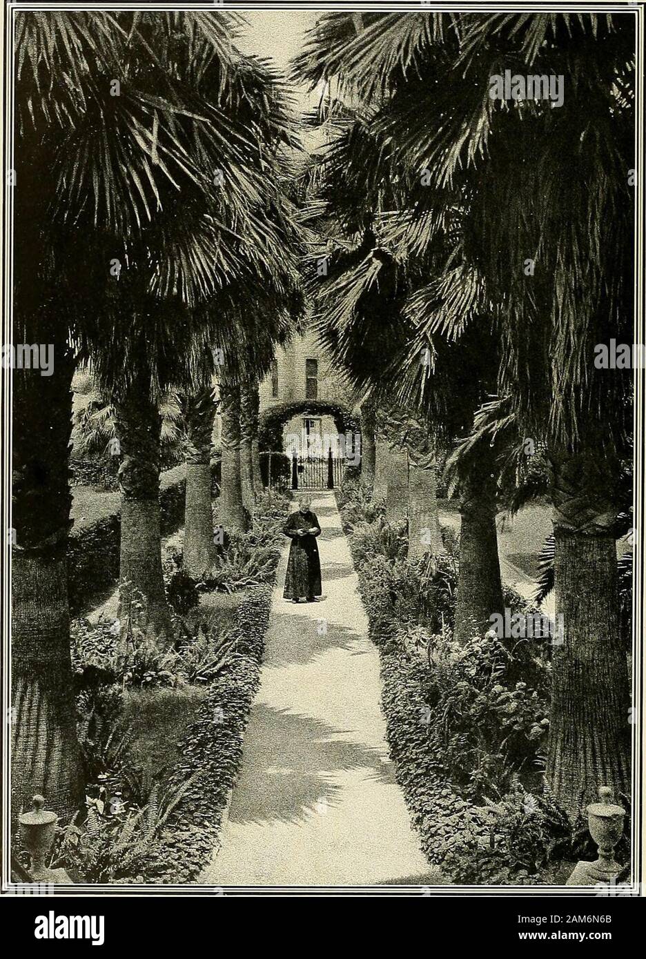 Jambalaya [Jahrbuch] 1917. ene Sherwood, D.D.S. Herbert Maxwell Shilstone, B.S., D. S. H. Sidney Kohn Simon. A.B., M.D.W. B. Smith, Uhr, Ph.D., LL.D. £ mcri/u5 Gertrude Roberts SmithVictor Conway Smith, M.D. John Smyth, jr. M.D. £ mcri/u: s Edmond Souchon, M.D. Marion Sims Souchon, M.D. Laura Stevenson SprangAdelin Elam Spencer, Uhr Maria Cass Spencer. M.Sec, Imogen Stein. Uhr Jakob Ambrosius Storck. M.Ph.. M.D.Robert Alexander stark. M.D. Dagny Sunne, Ph.D. G. J. Taquino, M.D. angenehme Addison Taylor. B.S. Susan Dinsmcre Tew, Ph.D.O. R. ThompsonO. J. Trappe, D.D.S. Charles J. Turck. Ll George Hampden Upton. Stockfoto