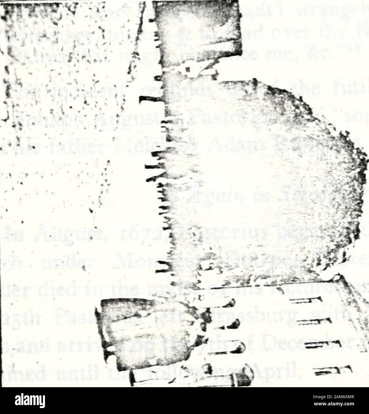 D Bernoulli Stockfotos und -bilder Kaufen - Alamy