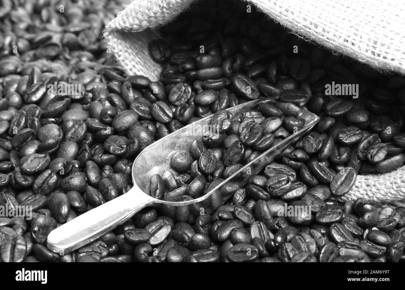 Kaffeebohnen und Schaufel mit hessischem Sack Tuch Stockfoto