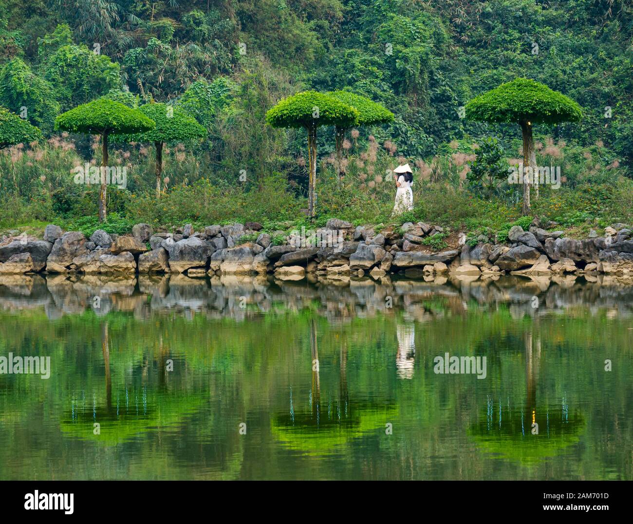 Frauen, die konische Hüte tragen, spiegeln sich im Fluss durch die Formbäume Thung Nham Bird Park, Tam Coc, Ninh Binh, Vietnam Stockfoto