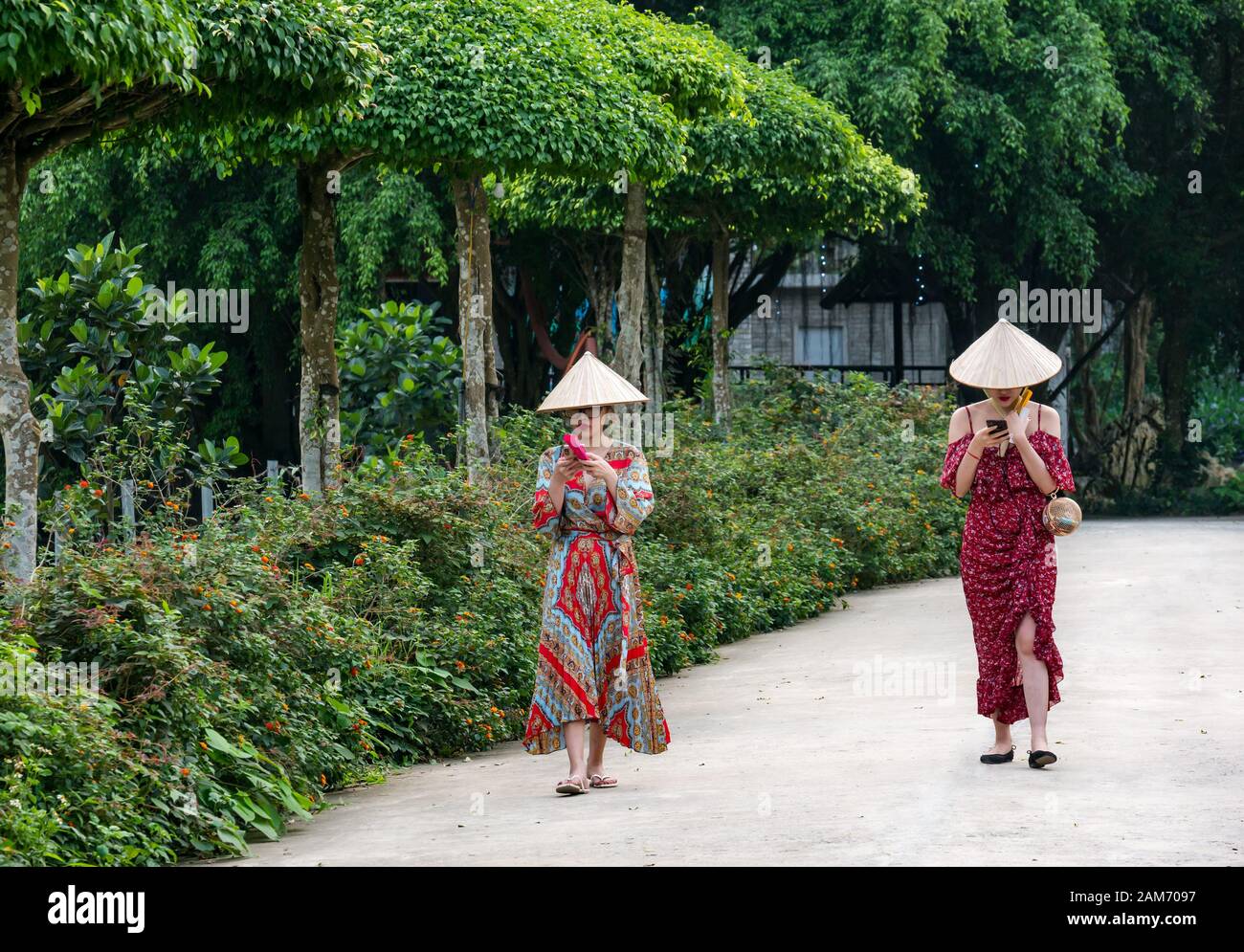 Frauen, die konische Hüte tragen, die auf Mobiltelefone schauen, Thung Nham Bird Park, Tam Coc, Ninh Binh, Vietnam Stockfoto