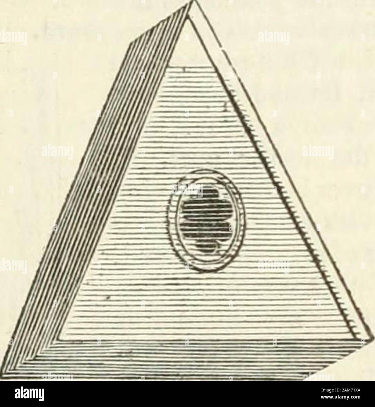 Ein Londoner Enzyklopädie, oder universal Wörterbuch der Wissenschaft, Kunst, Literatur und praktische Mechanik: Bestehend aus einem beliebten Blick auf den heutigen Stand unserer Kenntnisse: Mit zahlreichen Holzschnitten illustriert, eine allgemeine Atlas und entsprechende Diagramme. Virgil. Grimalkin, Ungeziefer swornAn ewigen Feind zu domestick, mit wachsamen eyeLies nächtliche Grübeln oer eine Protending chinky Lücke, sie verliebte Krallen, gedankenlose miceSure ruinieren. Philips Gedichte^ CHINNON oder Chinon, eine alte Stadt ofFrance, im Departement Indre andLoire, in der ci-devant Provinz Touraine; denkwürdig für den Tod von Heinrich II. von Stockfoto