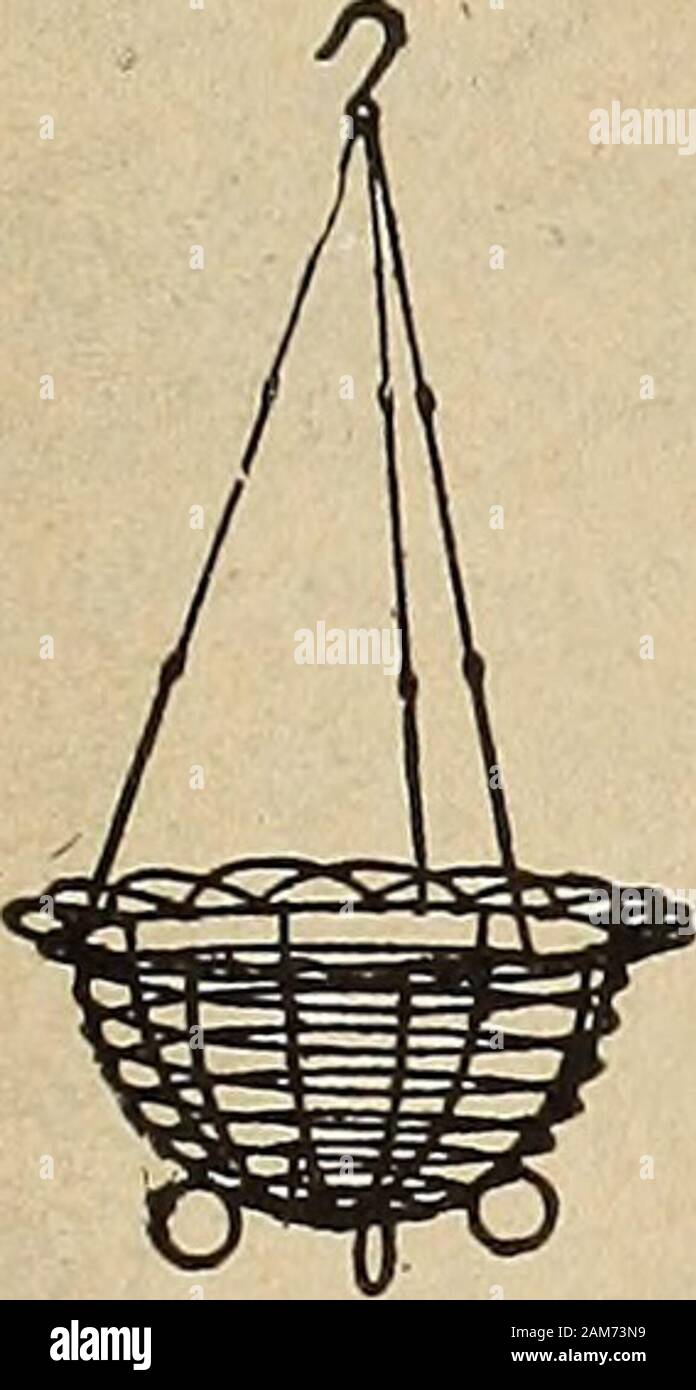 Dreer der Großhandel Preisliste: blumensamen für Floristen Pflanzen für Floristen Glühlampen für Floristen Gemüsesaatgut Düngemittel, Fungizide, Insektizide, Geräte, etc. wirehanging Warenkorb Stockfoto