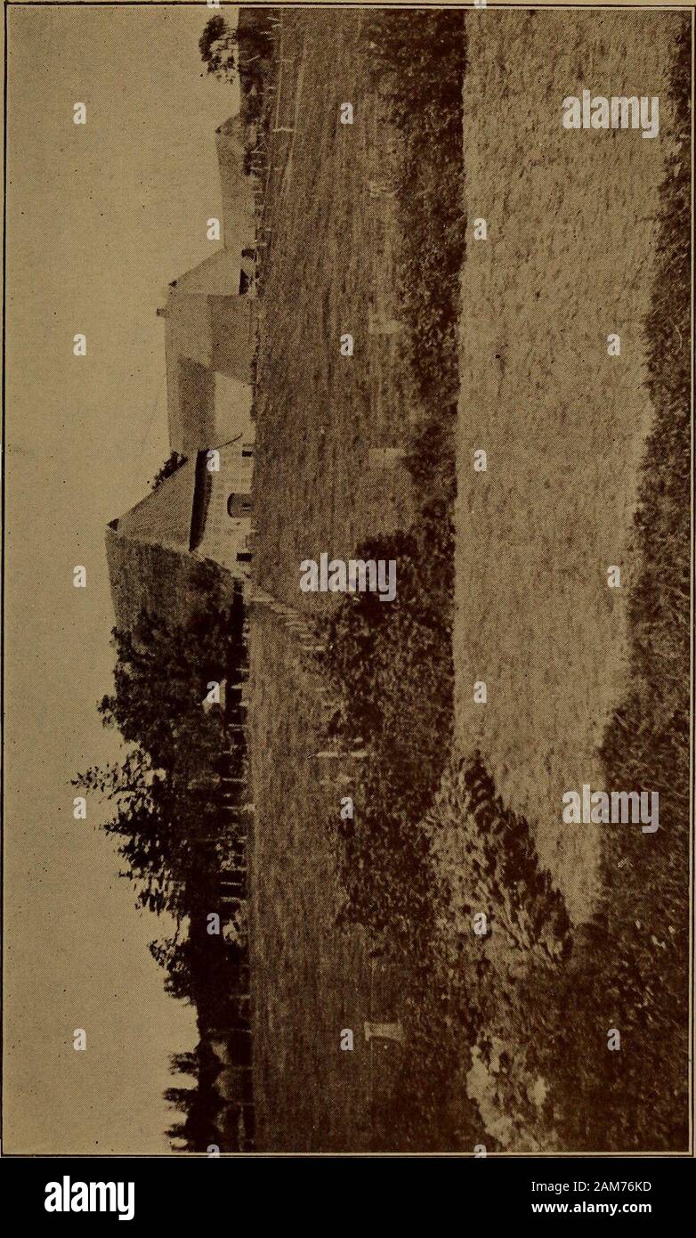 Ein Sommer in den nördlichen landen; das Journal einer Reise nach Skandinavien. Rs und auf der inneren Türen werepainted lebensgroße Figuren des heiligen Blasius, Johannes der Täufer, Jerome und iEgidius, letzten, Schutzpatron des Spenders. CanonAdolf Greverade. Diese Heiligen, mit theirwonderful Färbung, sind Meisterwerke. Wewaited, atemlos, während diese Türen wereopened uns das innere Bild zu zeigen. Es repräsentiert Szenen aus der Passion mit einem Cruci - fixion in der Mitte. Eine kniende Figur in der linken Ecke ist als portraitof der Geber hingewiesen. Während diese Szenen sind wellpainted, deren Anzahl und kleinen si Stockfoto