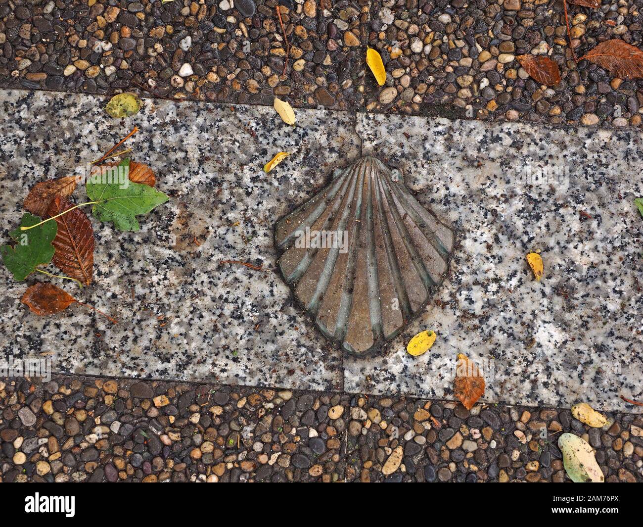 Verfallene Blätter schmücken das Schalenschild des Camino de Santiago auf dem gepflasterten Weg vor der Kathedrale unserer Lieben Frau von Burgos, Baskenregion, Spanien Stockfoto