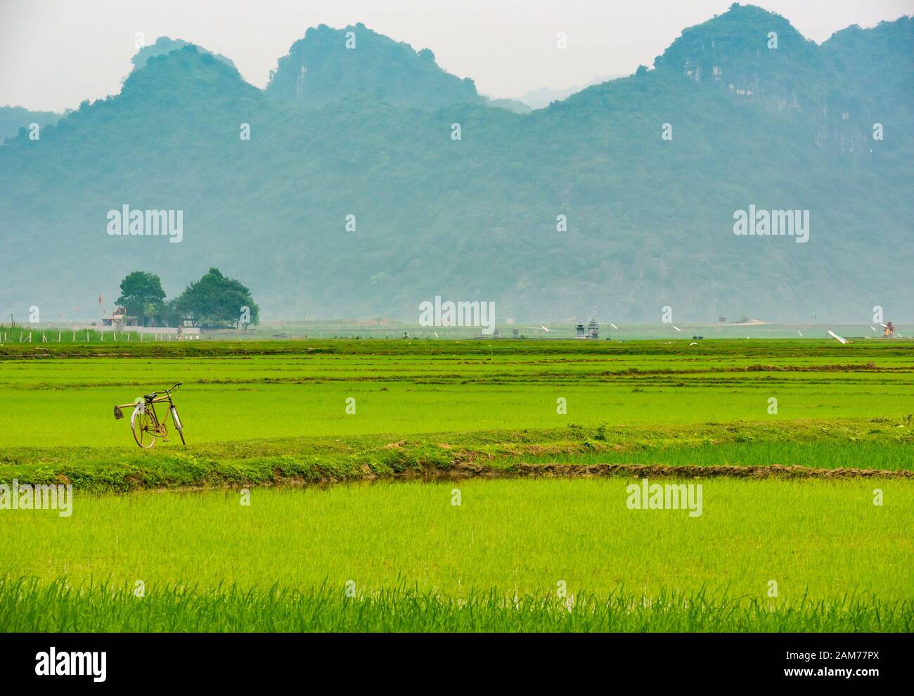 Geparktes altes Fahrrad auf Reisfeldern mit Blick auf Kalkkarstberge in der Ferne, Dong Tham, Ninh Binh, Vietnam, Asien Stockfoto