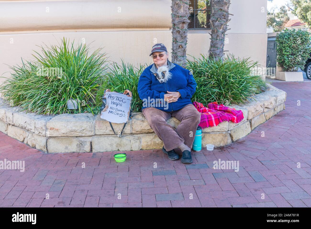 Ein älterer Bürger weiblichen Bettler mit ihrem kleinen Hund in ihre Pullover mit Kopf heraus haften versteckt, bittet an der Ecke State Street und Figueroa Stockfoto