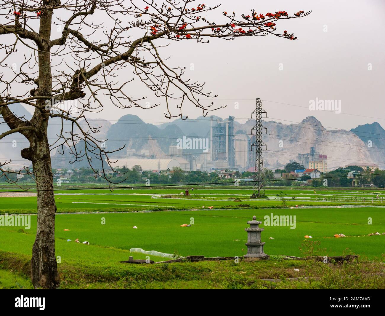 Industrieller Kalksteinbruch mit Reisfeldern und Ahnengräbern, Ninh Binh, Vietnam, Asien Stockfoto