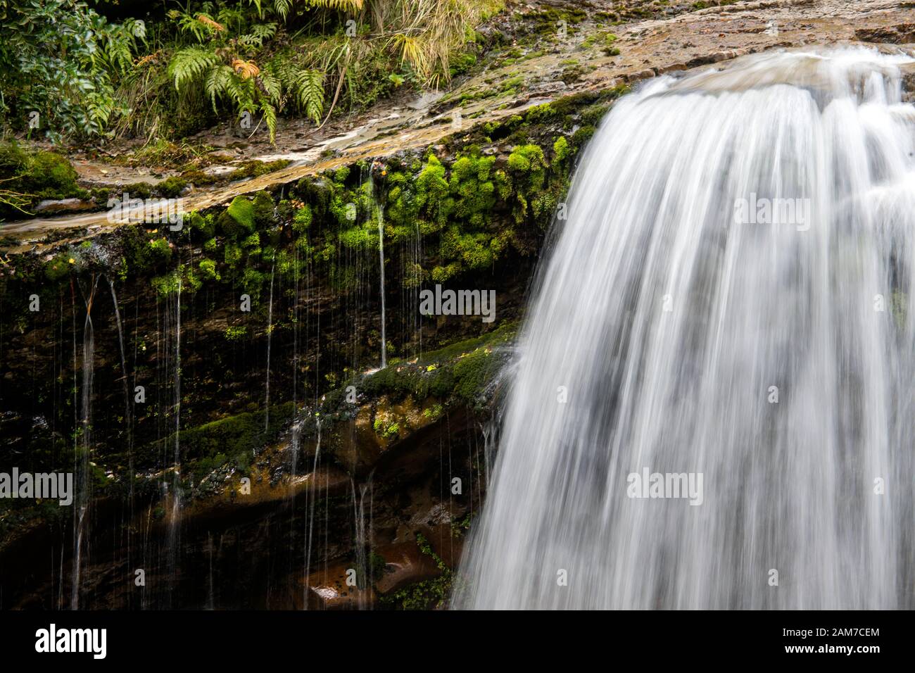 Gehen Sie auf dem Old Ghost Road Trail, Lyell nach Seddonville, Neuseeland. Wasserfall am Stern Creek Stockfoto