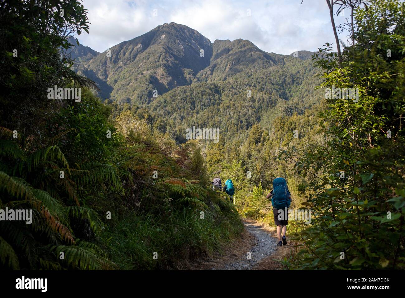 Gehen Sie auf dem Old Ghost Road Trail, Lyell nach Seddonville, Neuseeland. Probenpunkthütte verlassen Stockfoto