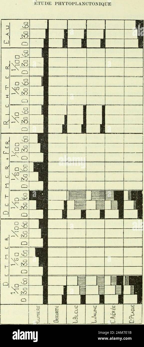 Archive Körperbau et des sciences naturelles. ces culturesaprès 30 et 60 Jours et Ceci reportons - pour nous au Graphique. Sous les lettres D, comme je Lai déjà dit, les Rechtecke noirsreprésentent La quantité De/ Au 18. Dezember 1918. Lesaugmentations en Algues vertes sind marquées par les rectan - gles plus Grands noirs; en Diatomées purement planctoniques (Asterionella, Synedra, Fragilaria, Cyclotella) par les traitsverticaux; en Diatomées nicht planctoniques (Achnautes) par lesquadrillés. Les Colonnes 30 et 60 indiquent létat der Kulturen 30 et 60 jours Après linoculation. § 1. - Kultur Stockfoto