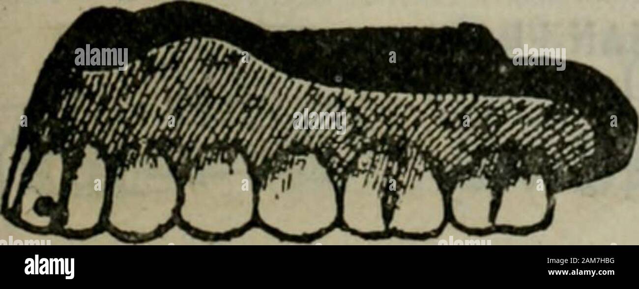 Polk-Husted's Directory Co Oakland, Berkeley und Alameda Verzeichnis. Jas), r1210 5. av. Rinehart Martin S, Karpfen, b 769 15. Rinehart Michael 10031^ Bway. Rinehart Frau Minnie, Krankenschwester, b127 Bonita av. RINEHART W B, Att.. rnev-Rms 4-5-6 10031 ^I5 Fahrbahn, Telefon Okld4081, r 1116 7. av. Rinero Batista, bootblk 1145 B 14. rines Annie C (wid T Oscar), b s s Bway Ter. Rinetti Louis, lab S P Co, b 1374 14. Ring Anna (wid Chas), r 1168 E 16. Ring Benno, elk Boston Store, b 1061 West. Ring Frau Benno, sek Töchter Israels Befreiung Societv. r 1061 West. Ring Byron, r531 38th. Ring Hvron A. mach Uni Stockfoto