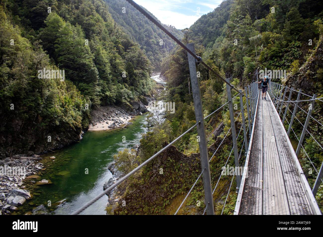 Gehen Sie auf der Old Ghost Road, Neuseeland: Auf halbem Weg zwischen Mokihinui Forks und Seddonville Stockfoto