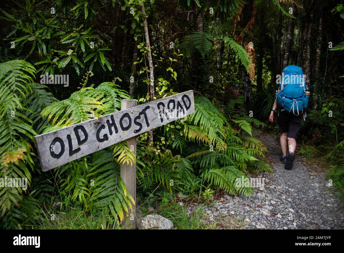 Old Ghost Road Trail, Neuseeland - in Richtung Seddonville Stockfoto